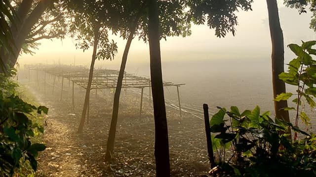 ছবিতে দেশে শীত নামবে কবে, যা জানাল আবহাওয়া অফিস সংক্রান্ত দৃশ্য