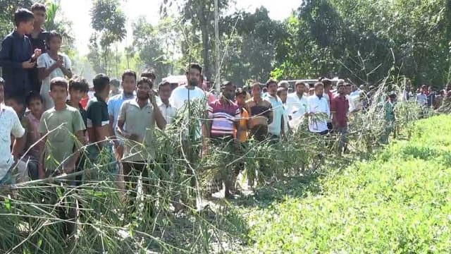 লালমনিরহাটে এখনও উদ্ধার হয়নি সেই বাঘ, ড্রোনে নজরদারি
