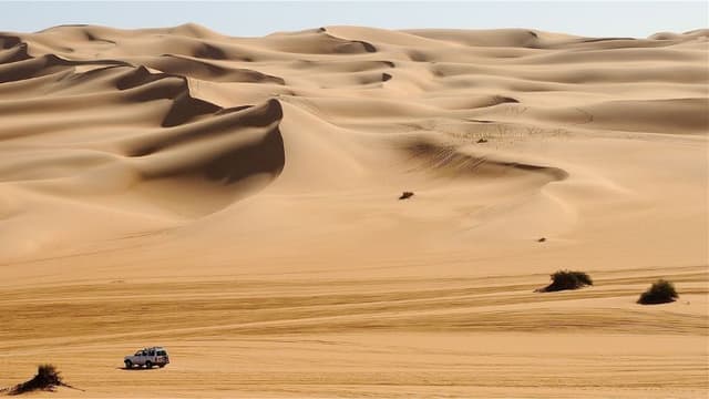 নবীজি (সা.)-এর মদিনায় হিজরতের কারণ নবীজি (সা.)-এর মদিনায় হিজরতের কারণ