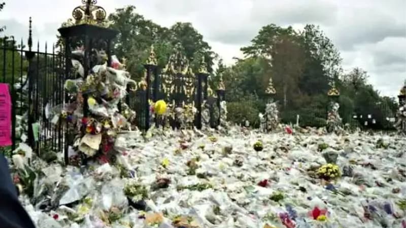 কেনো প্রচারের আড়ালেই থেকে গেল হ্যারি-উইলিয়ামের সৎ বোন লরা?