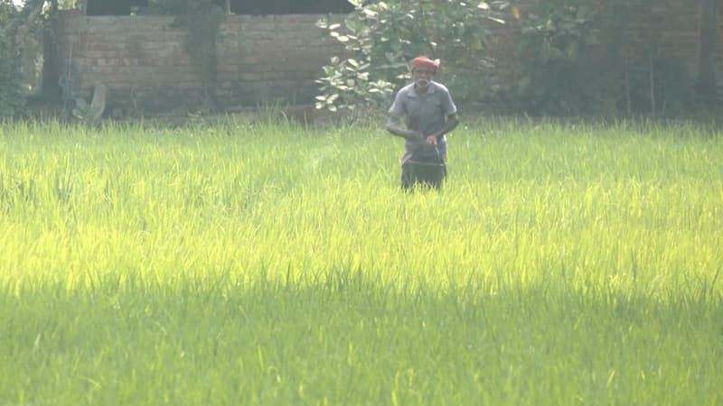 উৎপাদন খরচ বাড়লেও ফসলের ন্যায্য দাম না পাওয়ায় দুশ্চিন্তায় কৃষক উৎপাদন খরচ বাড়লেও ফসলের ন্যায্য দাম না পাওয়ায় দুশ্চিন্তায় কৃষক