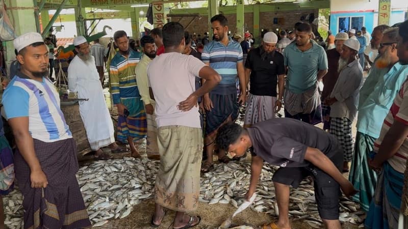 নিষেধাজ্ঞা শেষ হতেই ইলিশ বোঝাই শত শত ট্রলার ঘাটে! নিষেধাজ্ঞা শেষ হতেই ইলিশ বোঝাই শত শত ট্রলার ঘাটে!