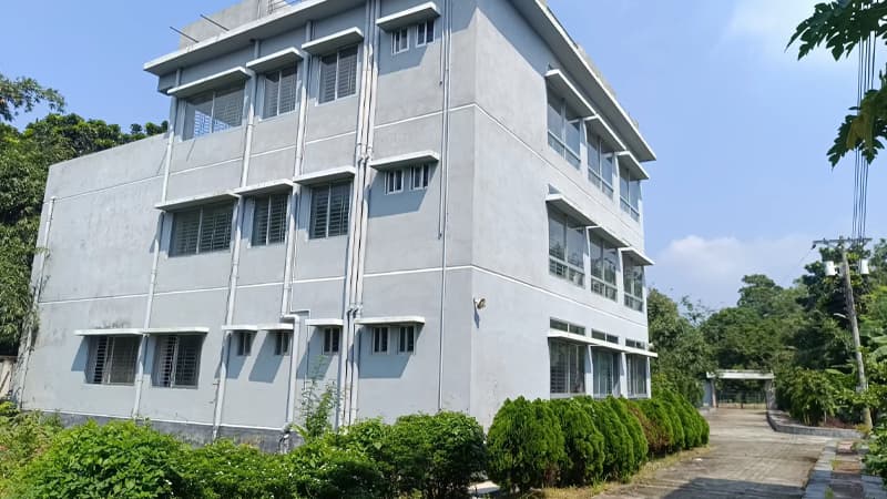 ঝিনাইদহে চিকিৎসকবিহীন ৪ মা ও শিশু কল্যাণ কেন্দ্র, সেবা নেই ৮ বছর ঝিনাইদহে চিকিৎসকবিহীন ৪ মা ও শিশু কল্যাণ কেন্দ্র, সেবা নেই ৮ বছর