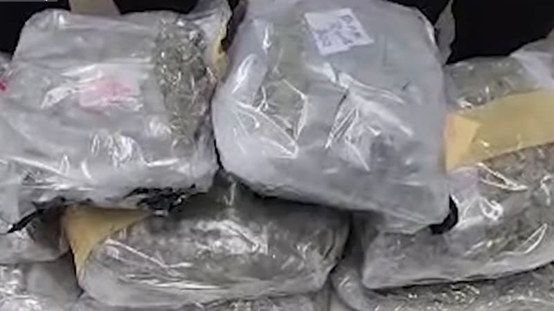 গাঁজার চেয়ে দ্বিগুণ শক্তিশালী মাদক কুশ, টার্গেট বেসরকারি বিশ্ববিদ্যালয়ের শিক্ষার্থী গাঁজার চেয়ে দ্বিগুণ শক্তিশালী মাদক কুশ, টার্গেট বেসরকারি বিশ্ববিদ্যালয়ের শিক্ষার্থী