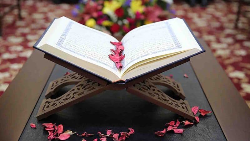 কোরআনের শিক্ষা ও নির্দেশনা কোরআনের শিক্ষা ও নির্দেশনা