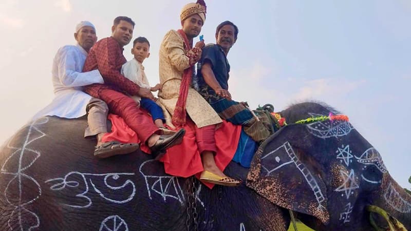 গাইবান্ধায় হাতির পিঠে চড়ে কনের বাড়িতে বর গাইবান্ধায় হাতির পিঠে চড়ে কনের বাড়িতে বর