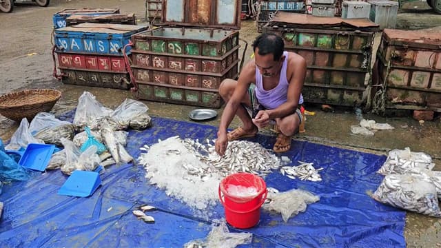 ভরা মৌসুমেও নেত্রকোনার হাওড়ে নেই মাছের দেখা ভরা মৌসুমেও নেত্রকোনার হাওড়ে নেই মাছের দেখা