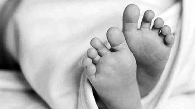 বরিশালে ভাড়া বাসা থেকে বৃদ্ধার পচন ধরা মরদেহ উদ্ধার বরিশালে ভাড়া বাসা থেকে বৃদ্ধার পচন ধরা মরদেহ উদ্ধার