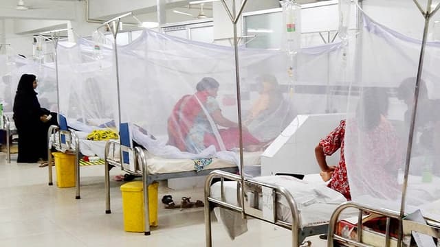 ডেঙ্গুতে মৃত্যু ৩০০ ছাড়াল ডেঙ্গুতে মৃত্যু ৩০০ ছাড়াল